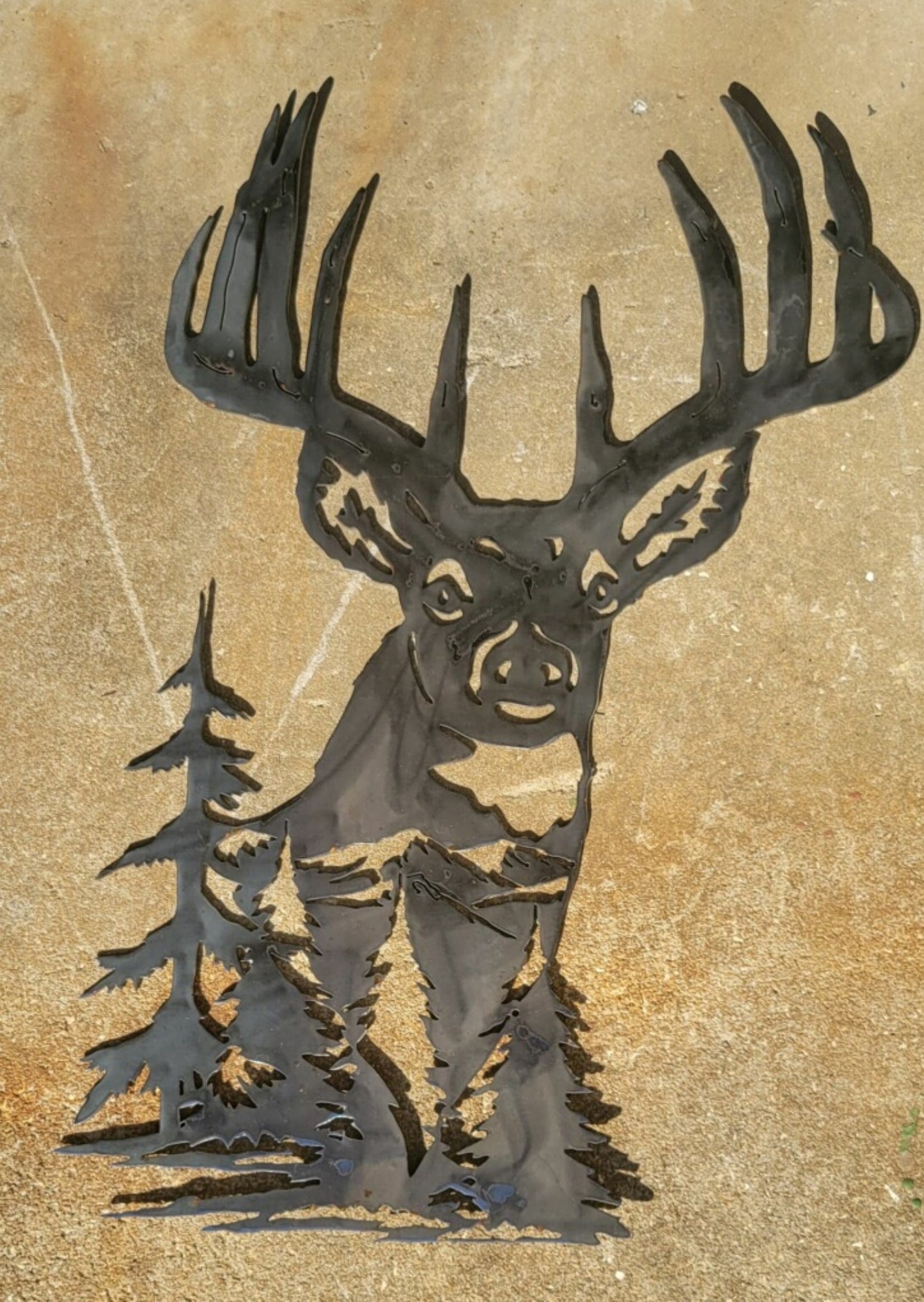 White Tail buck head with family name